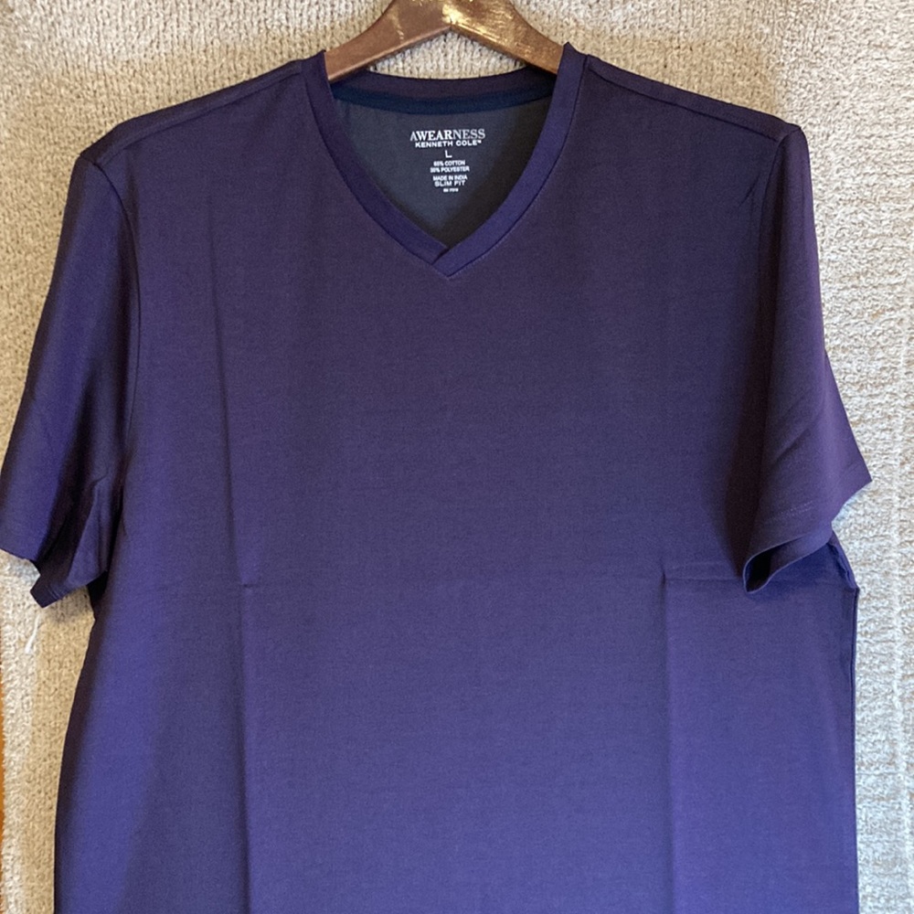 Awearness Kenneth Cole Modern Fit V-Neck Tee Shirt Purple NWT